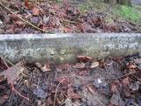 image of grave number 373674